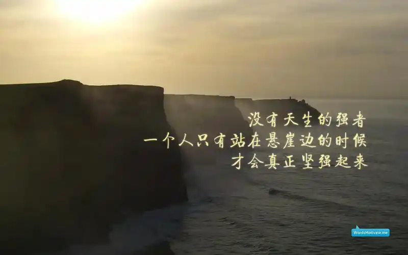 精选个性设计励志奋斗文字语录桌面壁纸高清(1)