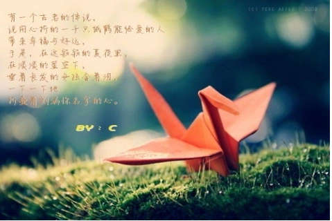 千纸鹤的含义是什么?千纸鹤代表什么?