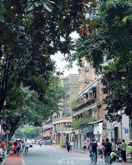 #记录旅行##秋游季##成都旅行#