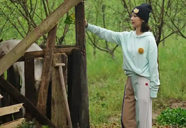 《向往的生活》:彭昱畅对杨紫"因爱生恨",亲手放出的瓜真甜