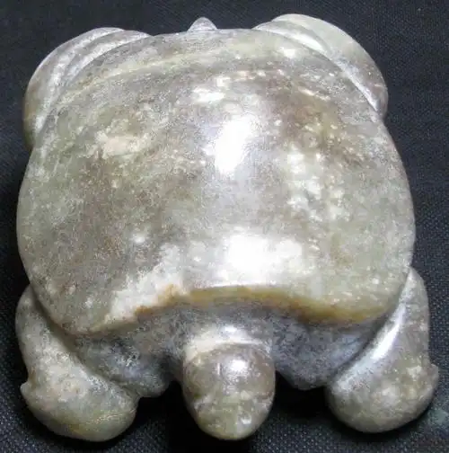 玉龟- 红山文化 论坛 - 任南红山文化官网 - powered by discuz!