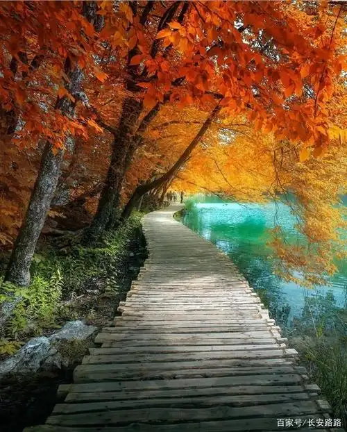 秋天,就应该看看秋天的美景