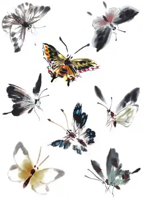 国画知识:蝴蝶不会画?那是你没有学会这几点画法,一起来临摹吧