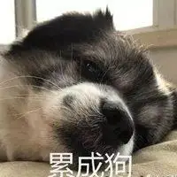 朋友圈累成狗的配图 加班累成狗发说说搞笑配图_微信头像图片大全