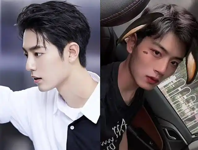 有种双胞胎叫撞脸明星肖战相似度80最后一对确定不是一个人