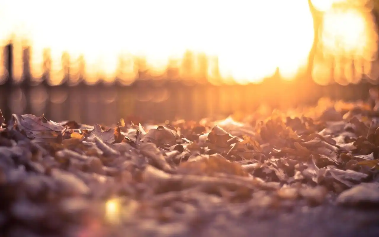 午后阳光温暖桌面壁纸