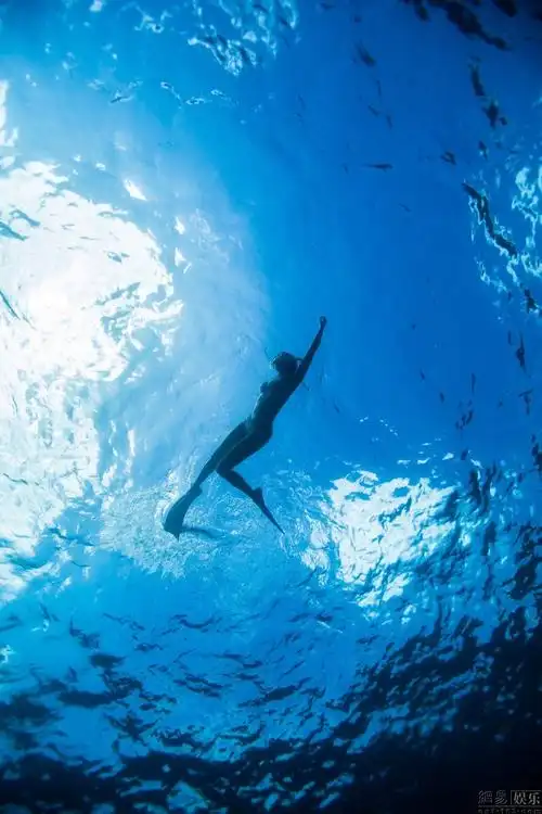 陈赫前妻许婧穿比基尼潜水