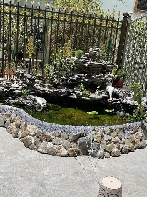 分享一下我的鱼池吧