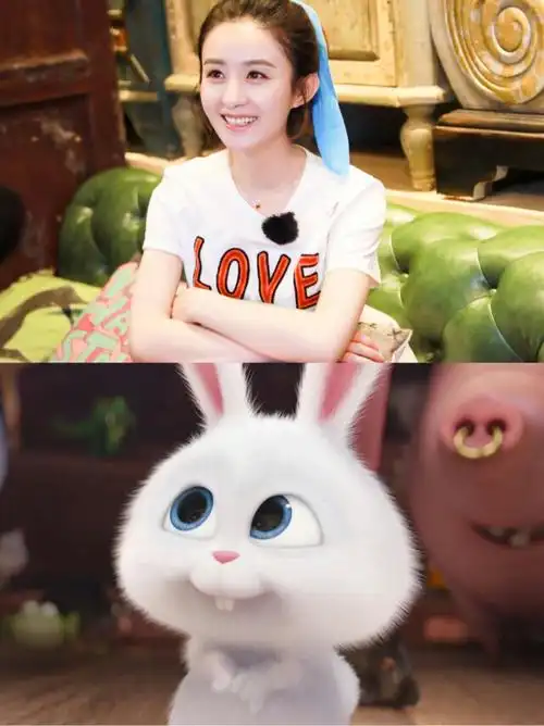 赵丽颖兔兔