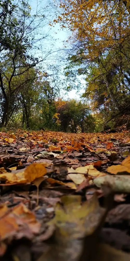 用一场徒步,保存这个秋天的美好.