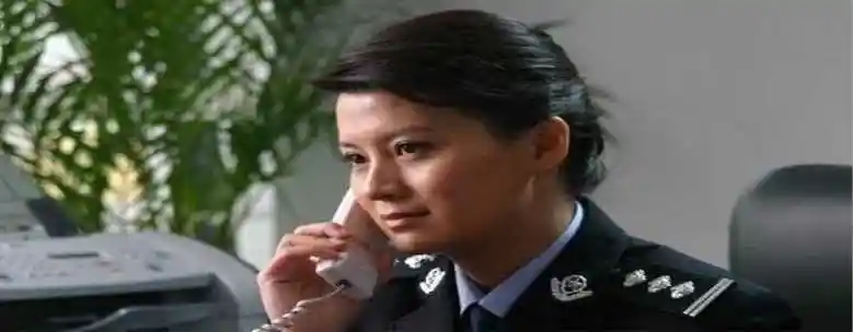 廖芳华局长是什么电视剧