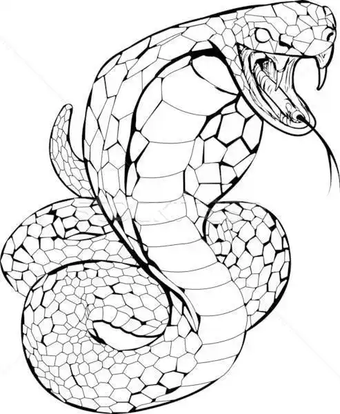 恐怖的动物简笔画