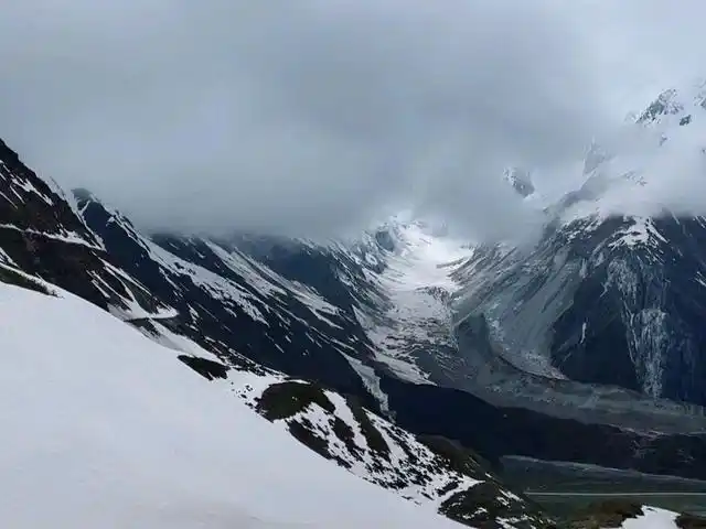 嘎隆拉冰川,五月杜鹃开,美了这高寒山地世外秘境