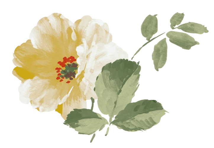 白色花朵手绘图片大全