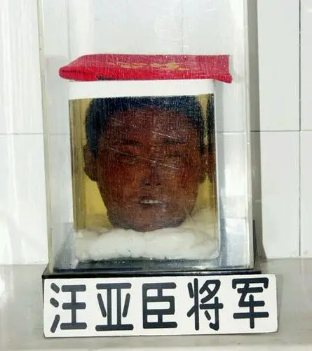 前阵子那个哈尔滨司机路怒症捅人的新闻,微博下面一