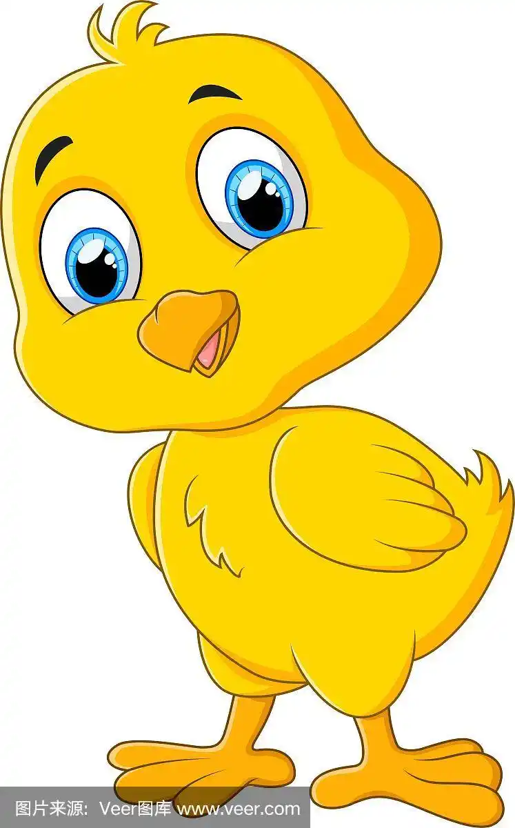 卡通可爱的鸡