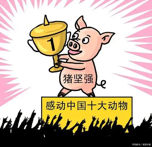 14岁猪坚强的自白:这辈子见了很多人,也攒了很多心里话