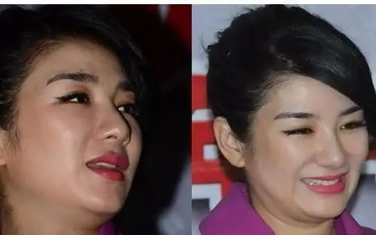 盘点娱乐圈里发胖的女明星都有哪些?为何一个个都胖到腰缠万贯!