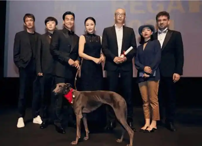 心疼艺术家母亲的遭遇,不让她晚年流泪_于黛琴_狗阵_彭于晏