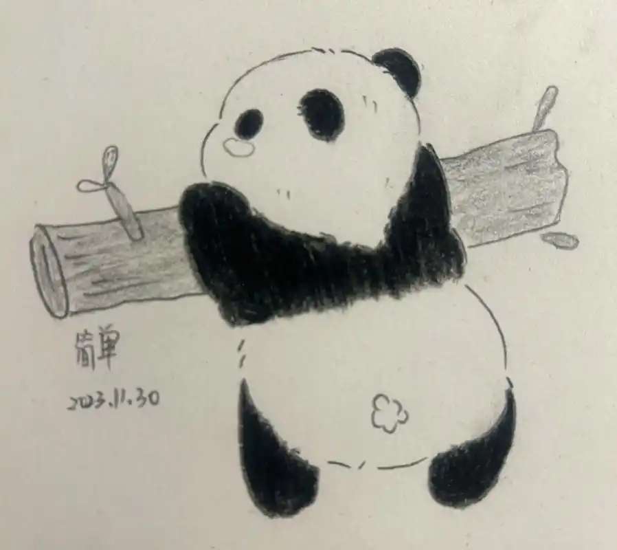 铅笔画 #每天一画 #超萌 #熊猫 - 抖音