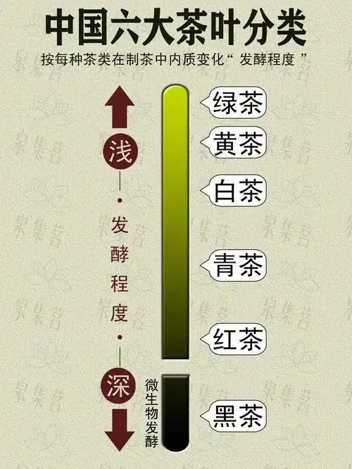 八张图让您迅速了解中国六大茶叶分类