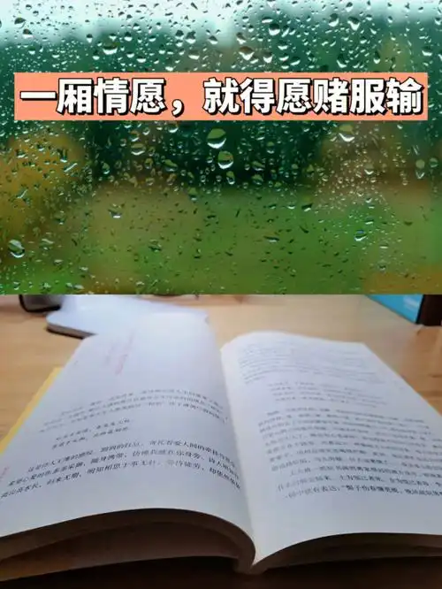 一厢情愿就得愿赌服输