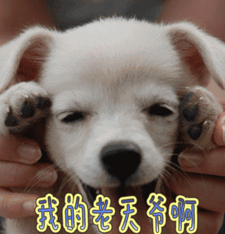 我的老腰啊图片_我的老腰啊动态图_我的老腰啊表情包gif动图下载_soo