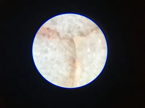 宋代官窑,哥窑的气泡有什么特点