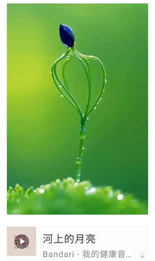 绿色,绿色,环保美丽,保护眼睛!