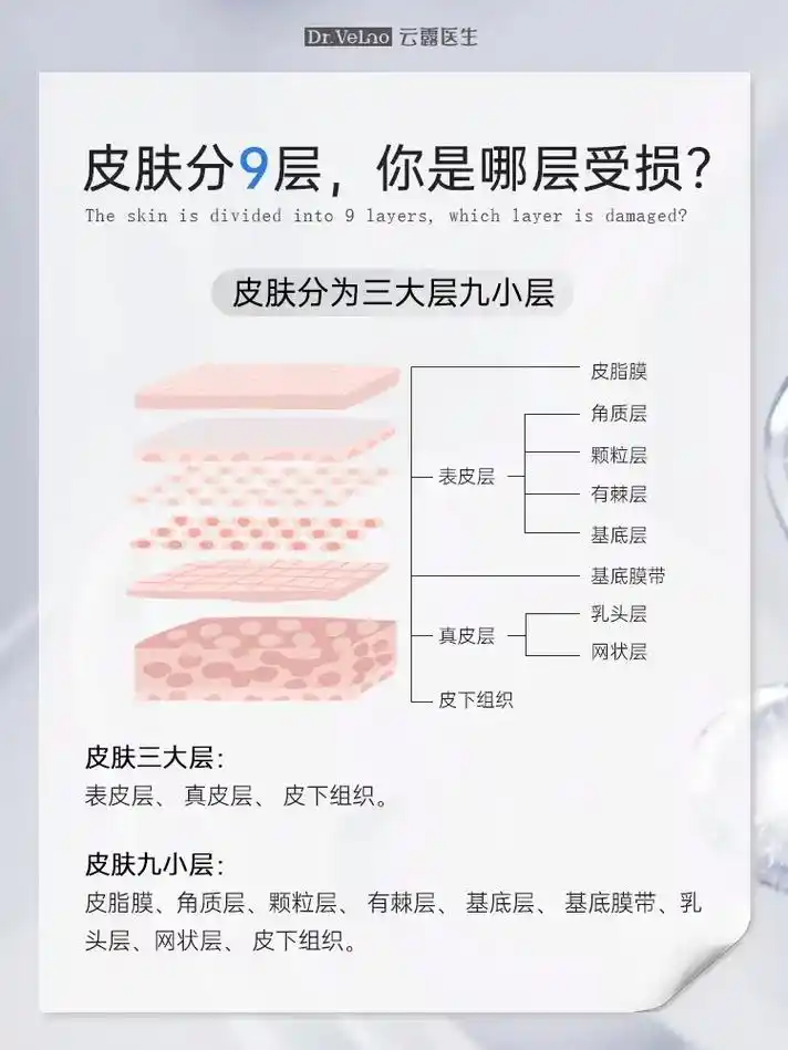 皮肤分9层,了解了才能更好护肤~||75 皮肤分为三大层九小层 - 抖音