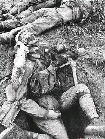 中越战争首次公开大量猛图