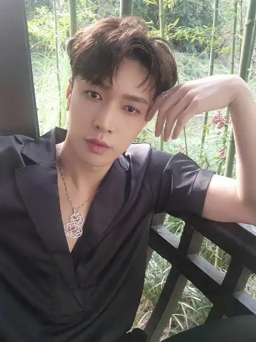 张艺兴黑西装背影照