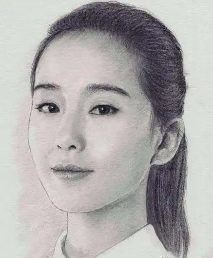 素描明星——刘诗诗