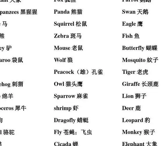 1,动物用英语怎么说