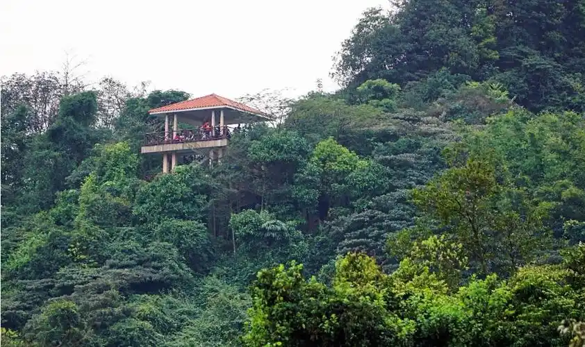 黄山鲁森林公园(位于广州南沙区的森林公园)_石塘网