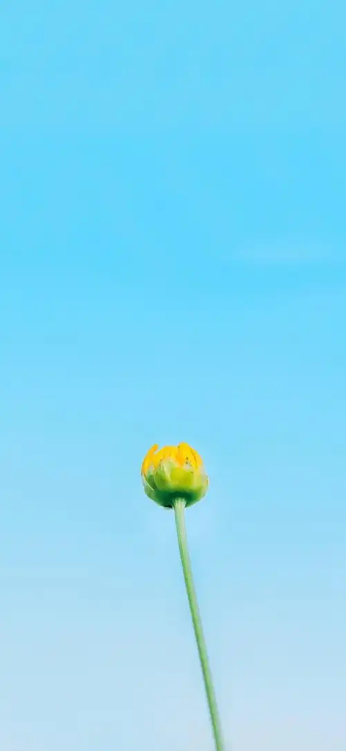 主屏- 堆糖,美图壁纸兴趣社区