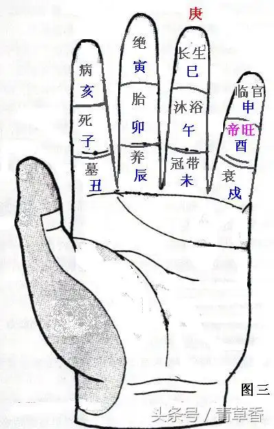 十天干生旺死绝速推掌诀图解及禄刃详解