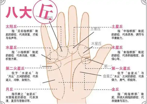 3,女人手相图解大全,女人手相看哪只手最准4,网上看到的如何看手相