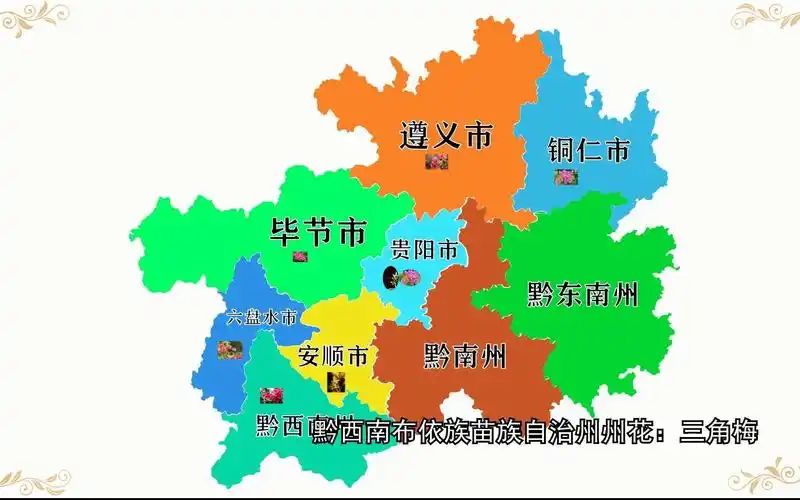 你知道贵州省各州市的市州花是什么吗?