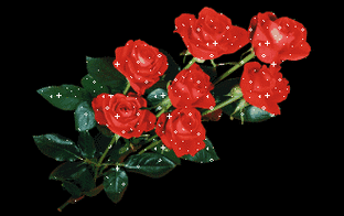 330_207gif 动态图 动图