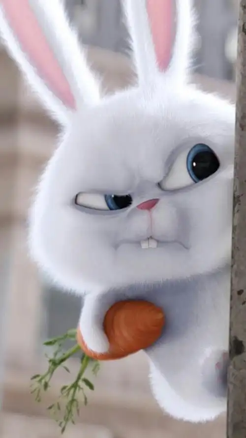 600_1066竖版 竖屏