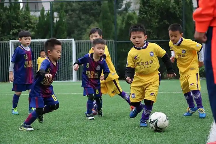 纽斯达足球168元五节足球课(原价450元)正在团购中!-在线订票-互动吧