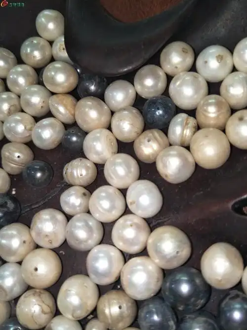 天然野生老珍珠