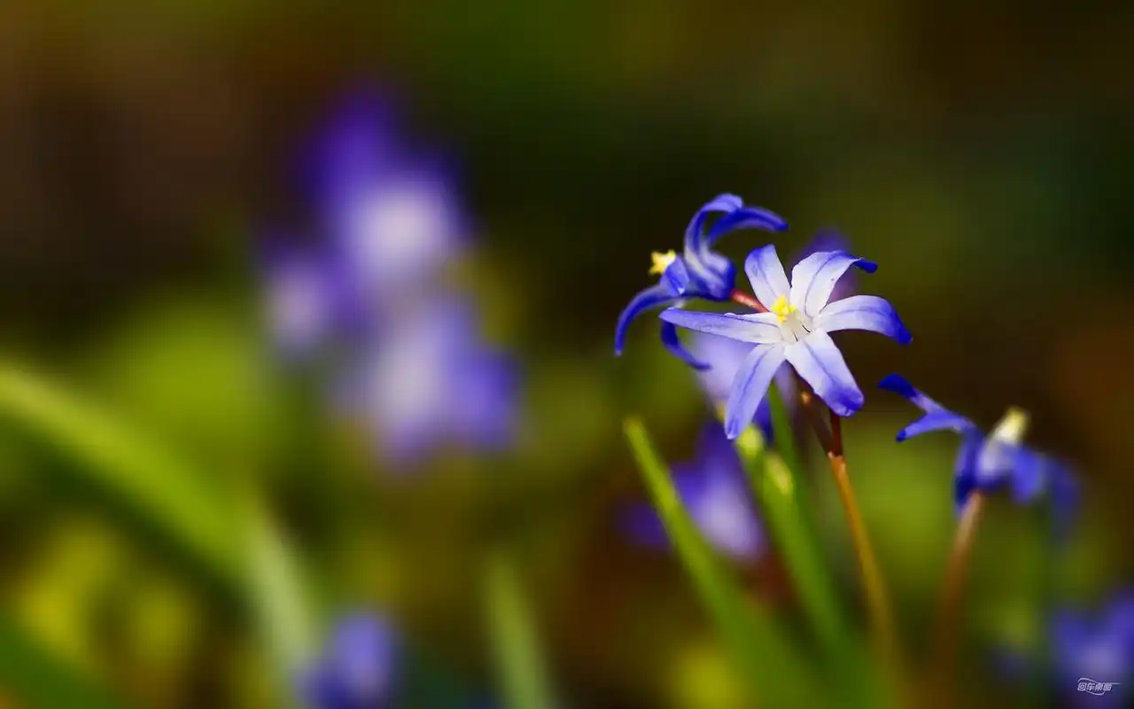 小清新唯美意境高清桌面壁纸第四辑