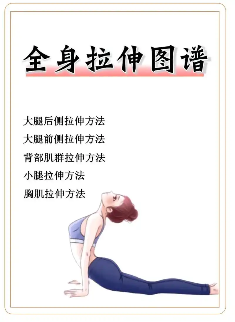 全身拉伸图谱赶紧收藏起来吧