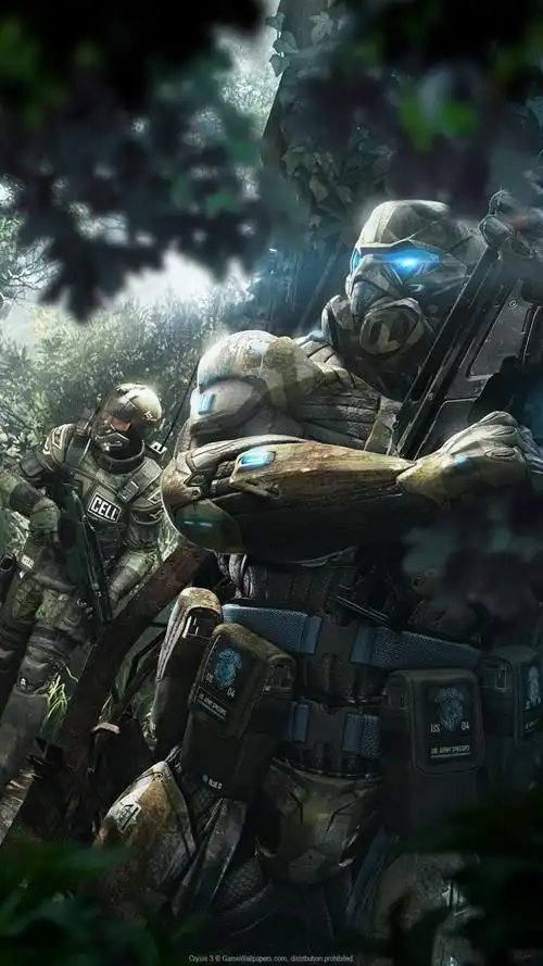 孤岛危机31080x1920手机壁纸