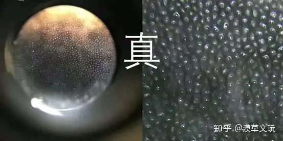 犀牛角真假用灯照能分辨吗?