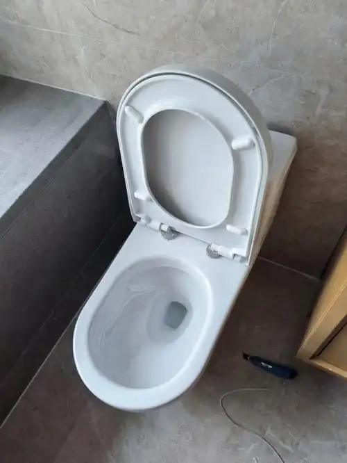 杜拉维特马桶拆除教程