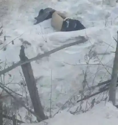 又是一年寒冬,它是全国山友都必须警惕的危险