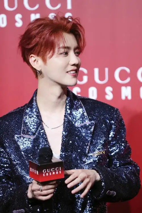 古驰品牌代言人鹿晗